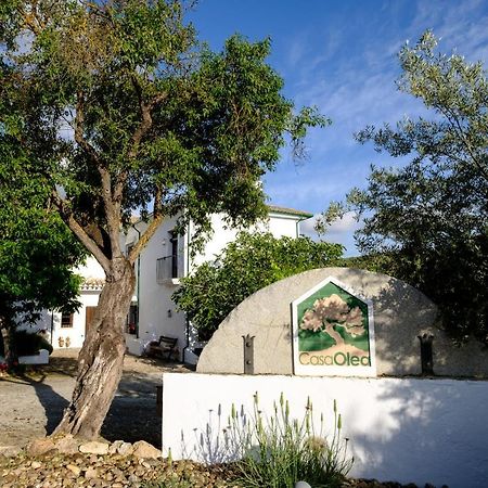 Bed and Breakfast Casa Olea Priego de Córdoba Exterior foto