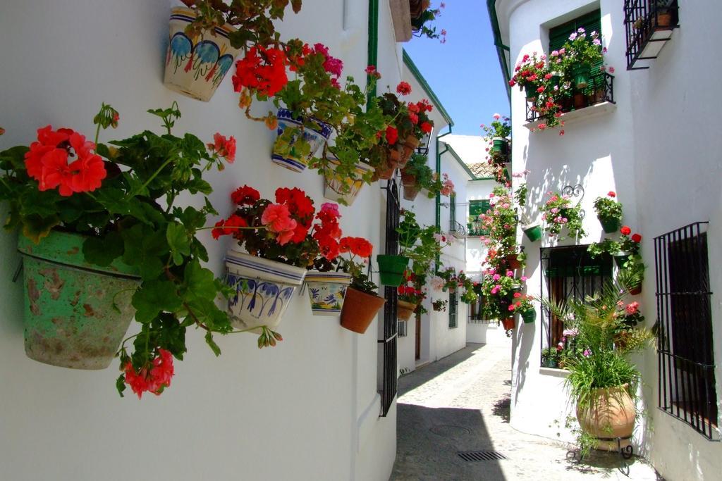 Bed and Breakfast Casa Olea Priego de Córdoba Exterior foto